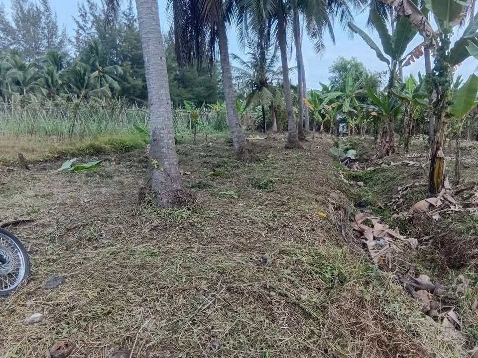 Bán Đất Nền Biệt Thự 350m² Hữu Định, Bến Tre - Giá 450 Triệu