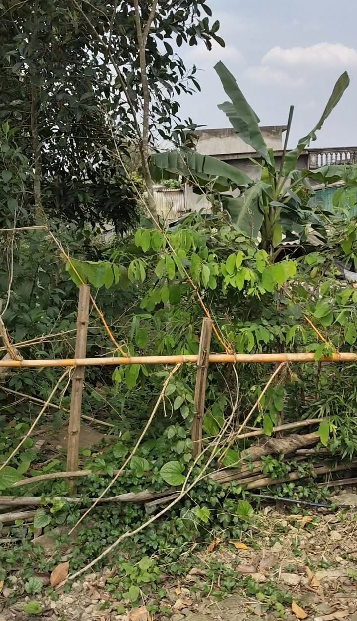 Bán đất 180m² Xóm Kham, Kỳ Sơn, Hòa Bình - Giá chỉ 250 triệu