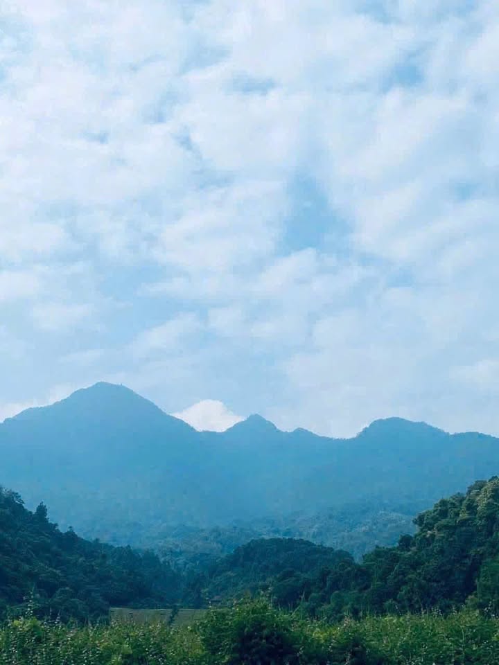 Đất vườn Ba Vì 5.678m² thỏa thuận - View thiên nhiên