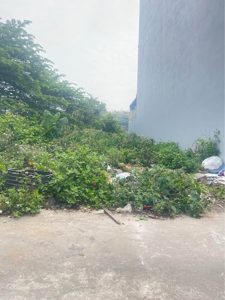 Bán đất Đồng Hòa, Kiến An 55m² - Sát Đại Lộ Thời Đại, Giá 2.29 Tỷ