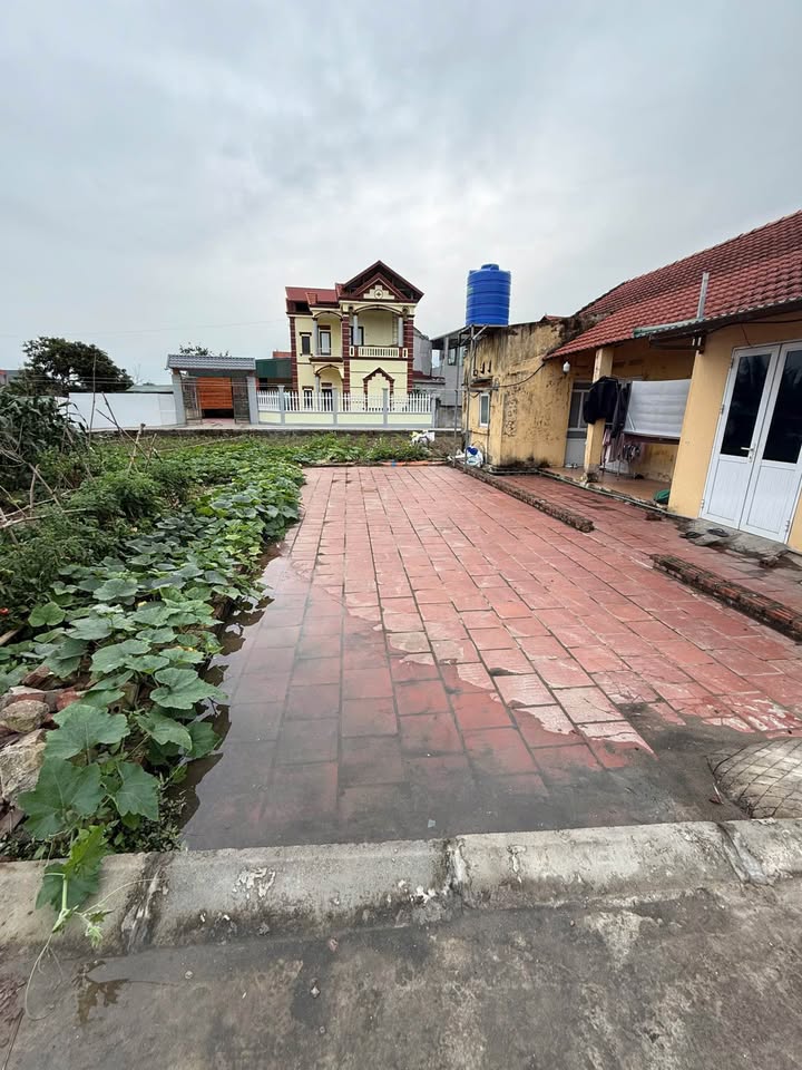 Đất nền Hưng Yên 56m² - Vô Ngại, Mỹ Hào - Giá 1.1 tỷ, Sẵn Sàng Đầu Tư