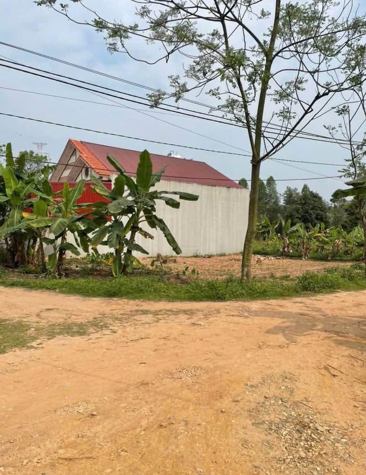 Đất nền Phượng Lâu, Việt Trì 106m² 2,1 tỷ - Sổ đỏ chính chủ