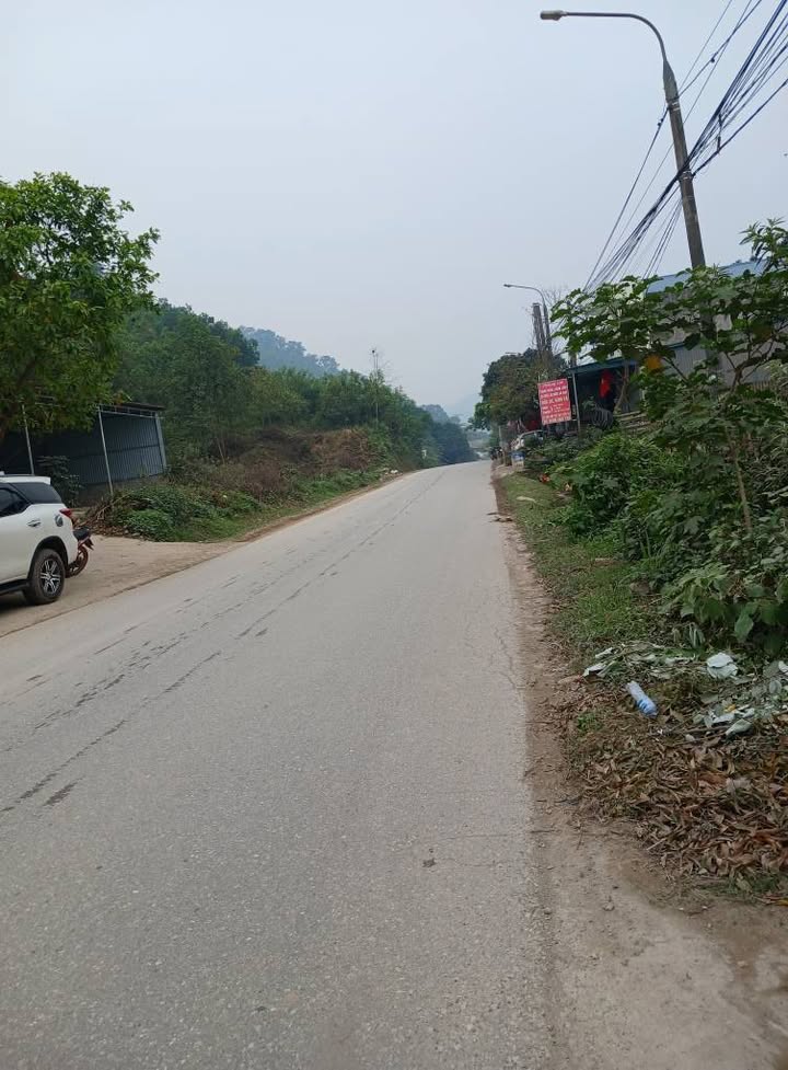 Đất nền Flamingo Thái Nguyên 100m² - Mặt đường Tố Hữu, tiềm năng sinh lời