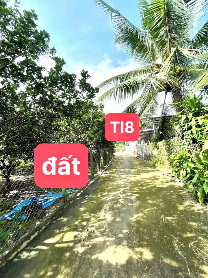 Đất Vườn Bưởi Diên Lâm 104m² - Sổ Đỏ Thổ Cư, Gần Tĩnh Lộ 8