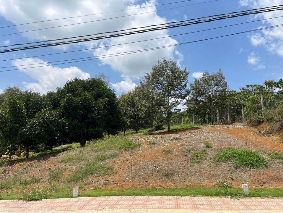 Đất Nền Thổ Cư Mặt Tiền Đường Chi Lăng, Bảo Lộc - 980 Triệu/Lô