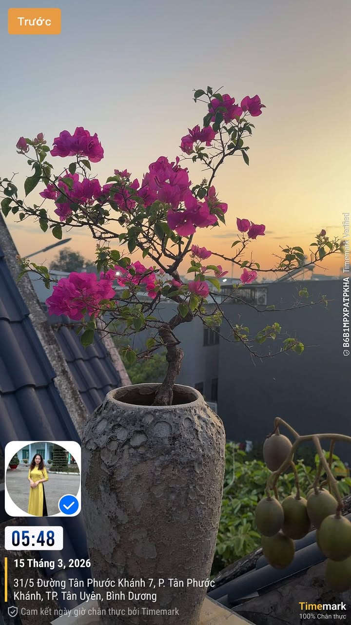 Đất Nền 118m² Sổ Hồng Sẵn Sát Công Viên Phú Hồng Thịnh 8 - Giá 2.65 Tỷ