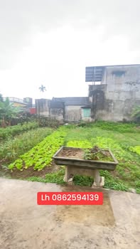 Đất nền Trịnh Xuyên, Ninh Giang 81m² - Giá đầu tư chỉ từ 4xx triệu