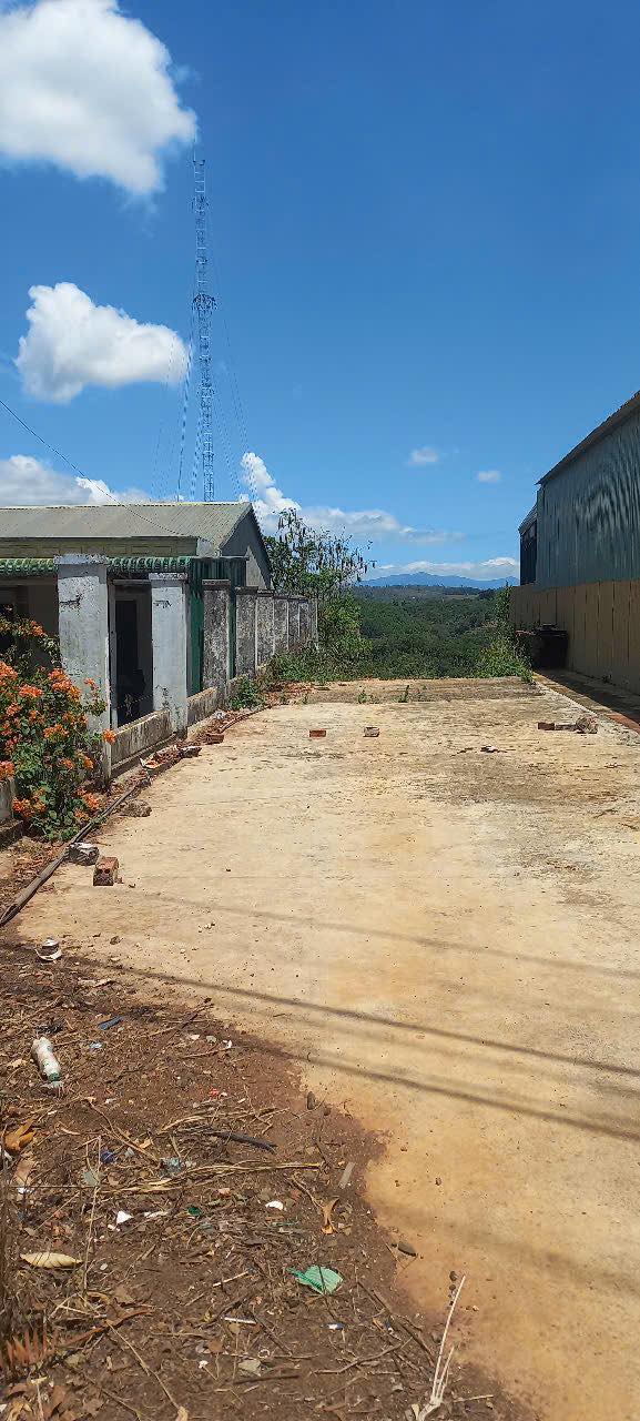 Bán Đất Vườn Nghĩa Thành, Đắk Nông 1800m² - Sổ Đỏ, Mặt Đường Nhựa