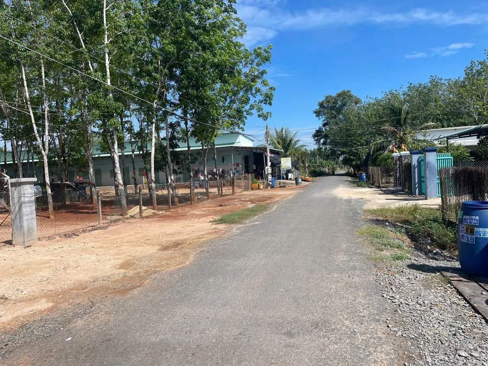 Đất Vàng MT ĐT 826B Gò Dầu 836m² - Kinh Doanh Xây Trọ KCN Phước Đông
