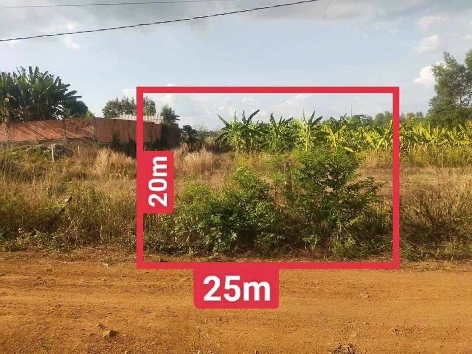 Đất Vườn Trảng Bom 500m² Sổ Riêng - Giá Chỉ 699 Triệu