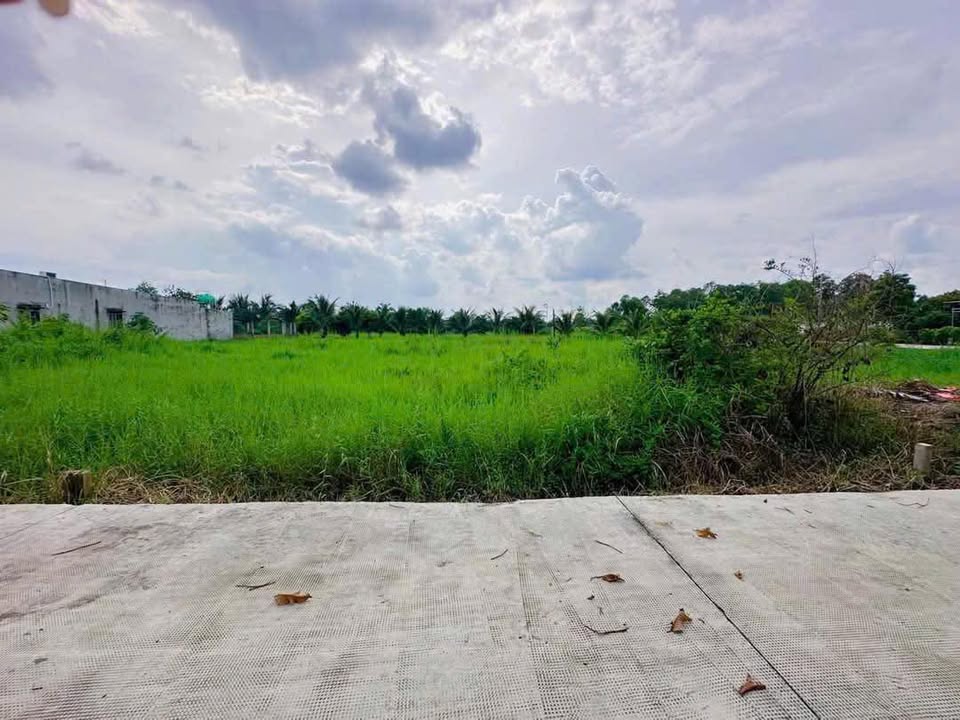 Đất Nền Hậu Nghĩa, Long An - 270m² Sổ Hồng Riêng, Kế Vinhomes, Giá 1.89 Tỷ