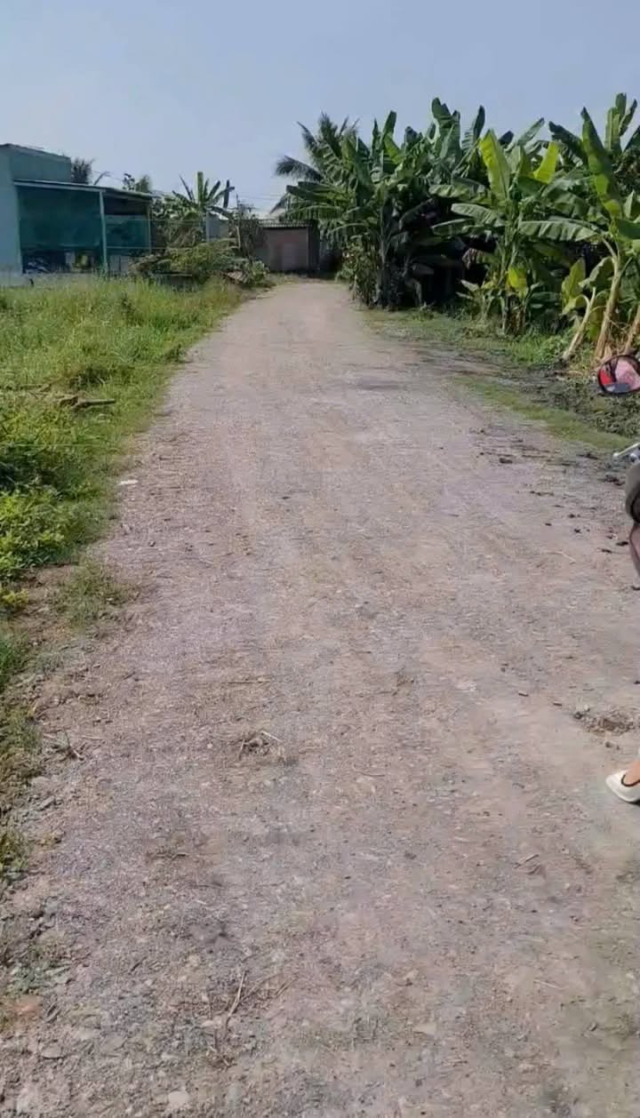 Đất nền Trảng Bàng 140m² 499 triệu - Sổ đỏ chính chủ