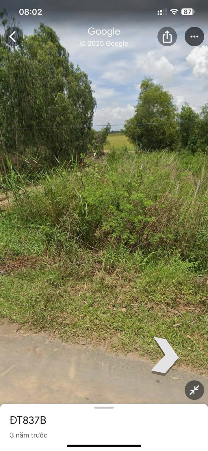 Bán đất thổ cư 280m² mặt tiền Tỉnh lộ 837B Tân Hưng, Long An - 400 triệu