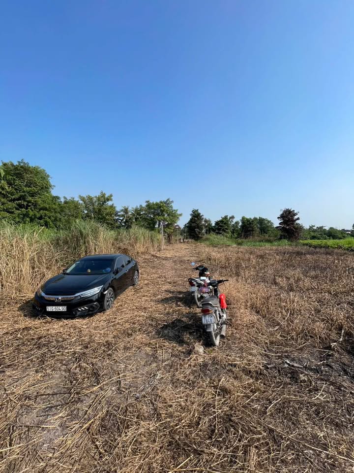 Đất thổ cư 100m² Lương Bình, Bến Lức - 650 triệu, Sẵn Sàng Xây Nhà!