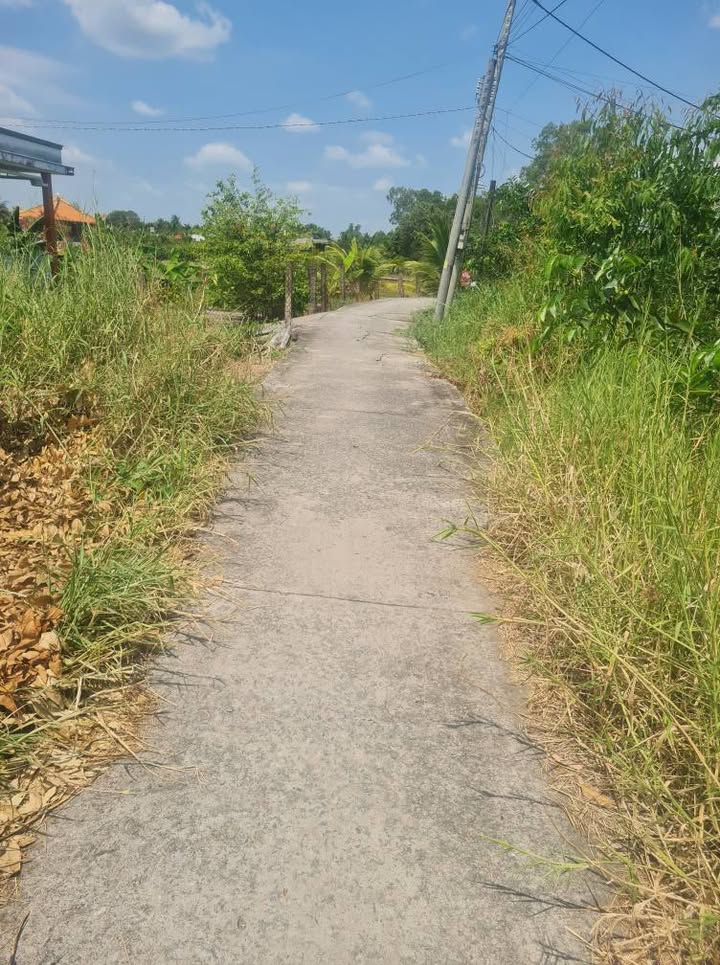 Đất Nền Phú Ngãi Trị, Long An 290m² - Giá F0 700 Triệu