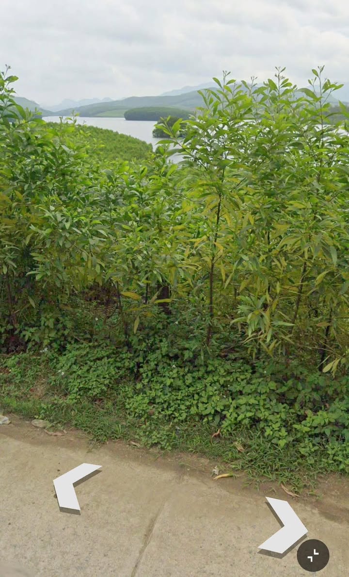 Đất nền Núi Thành 550m² mặt tiền DH3 - View hồ Thái Xuân, tiềm năng đầu tư