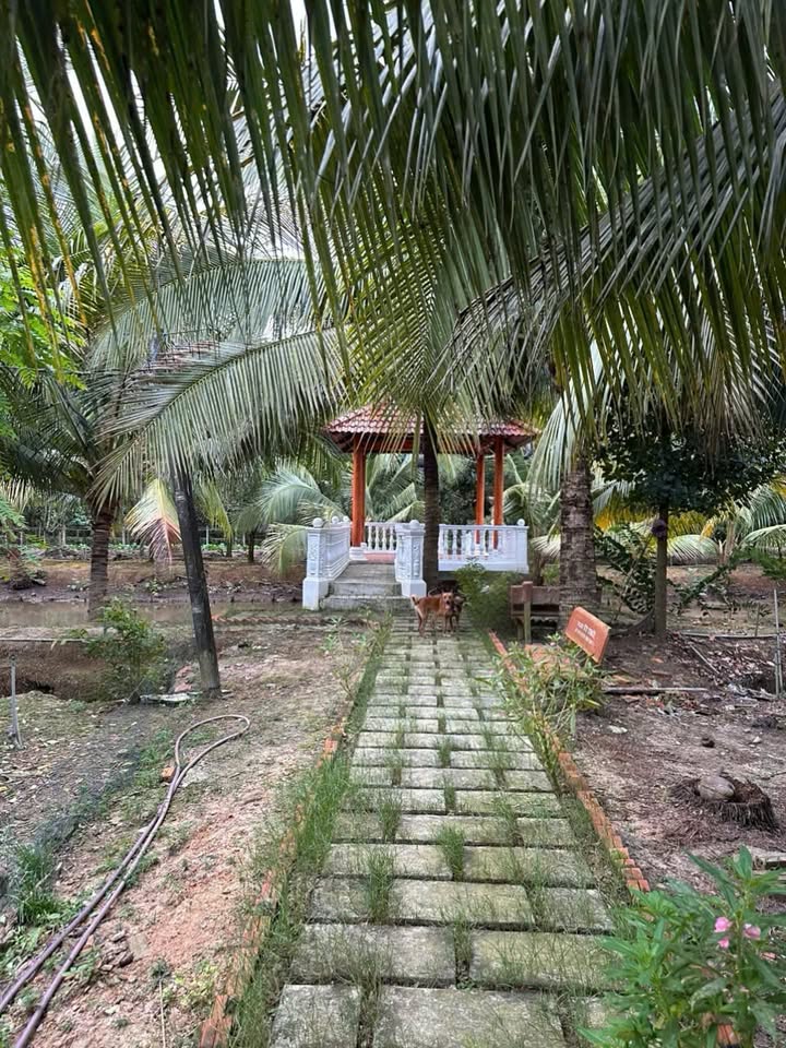 Bán Đất Vườn Nghỉ Dưỡng 17.000m² Đức Huệ, Long An - Giá 17 Tỷ