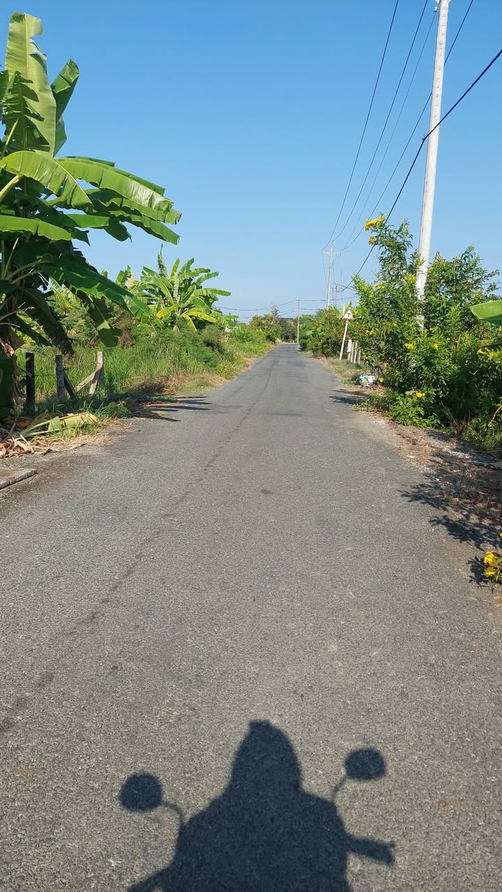 Bán Đất Tặng Nhà Vườn 629m² Mặt Tiền Nguyễn Văn Nhâm, Tân An - Giá 2.7 Tỷ