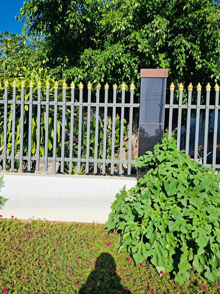 Bán Đất Mặt Tiền Tỉnh Lộ 328 Xuyên Mộc, BRVT - 440m² Sổ Đỏ, Giá Tốt