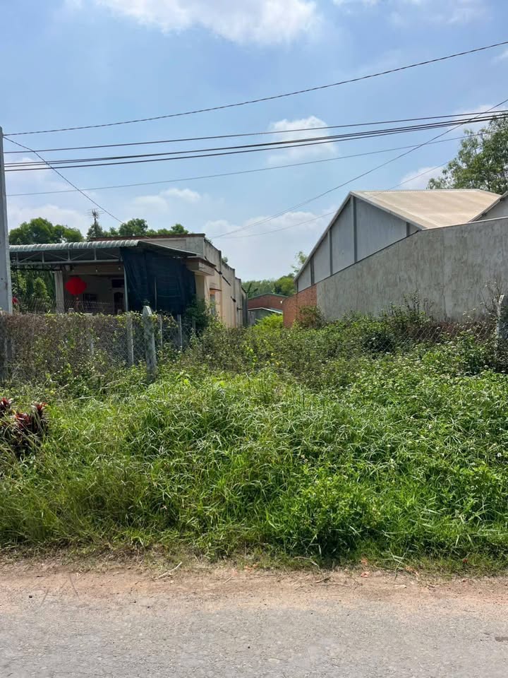 Đất Vàng 414m² Mặt Tiền Nhựa Trảng Bàng - Giá 750 Triệu