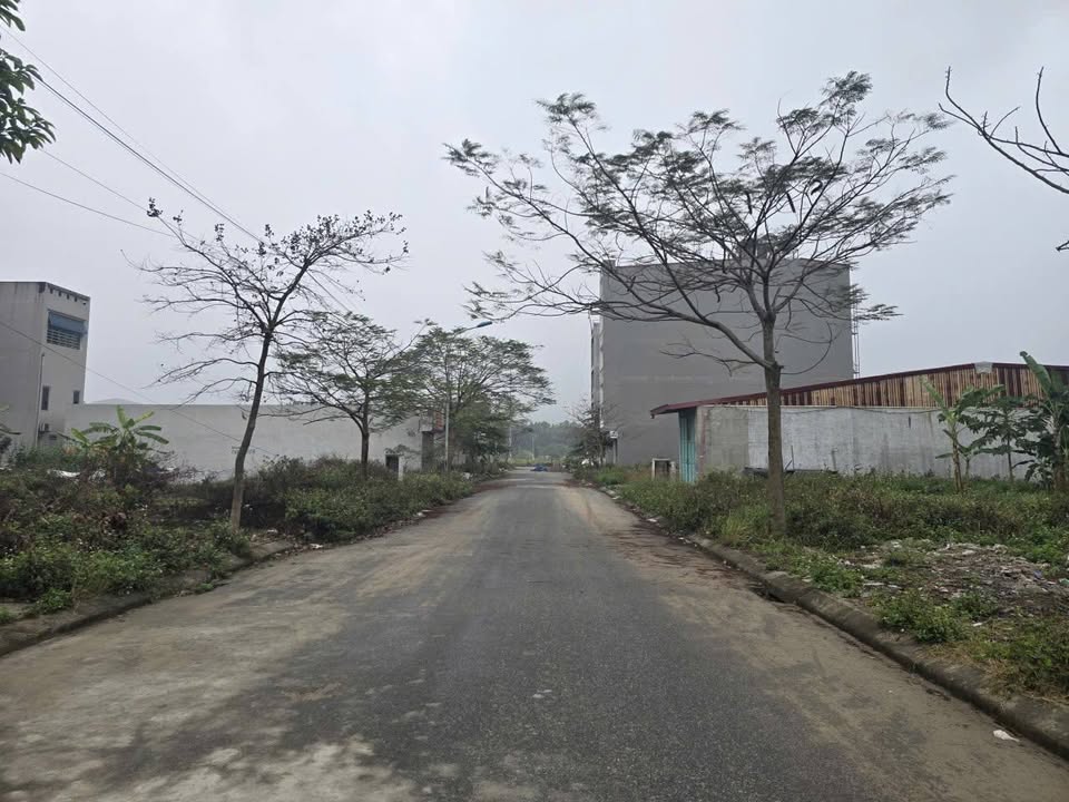 Bán Đất Vàng 99m² Mặt Tiền 4.5m Đường Tam Giang, Bắc Ninh - Sổ Sẵn