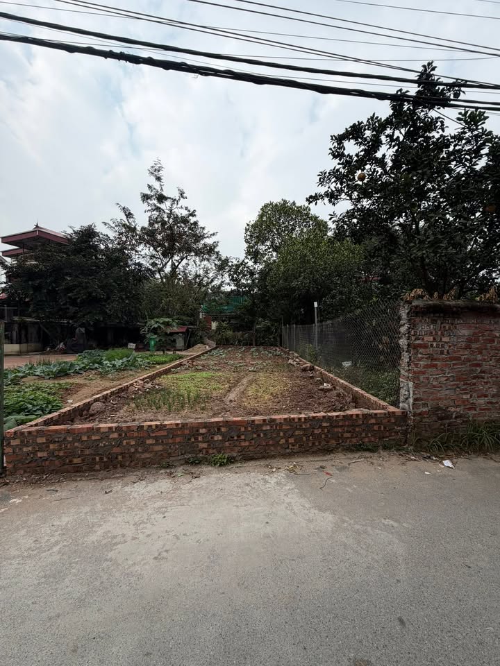 Nhà Mặt Tiền Kinh Doanh 61m² Trục Chính Xuân Lê, Bắc Ninh - Giá Tốt