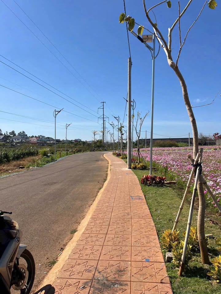 Đất Nền Đức Trọng 110m² - Sổ Đỏ Thổ Cư, Giá 900 Triệu - Đầu Tư Sinh Lời