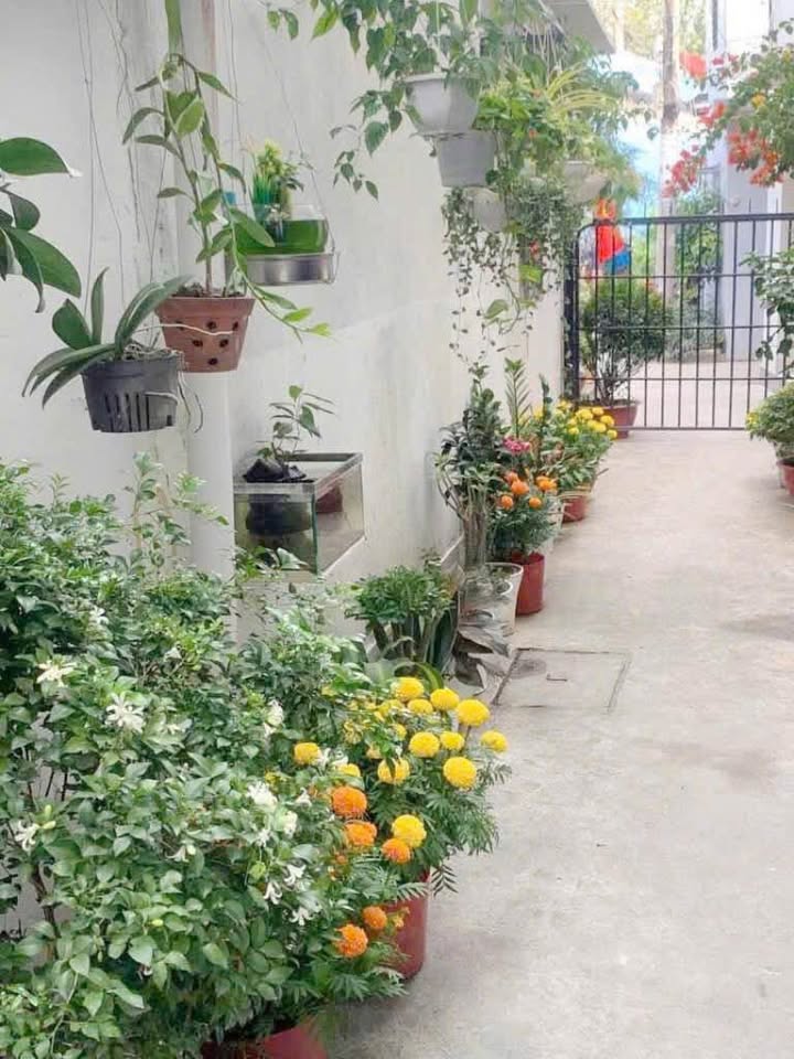 Cho thuê nhà nguyên căn 64m² full nội thất cơ bản - Hẻm xe máy Nguyễn Xí, Bình Thạnh