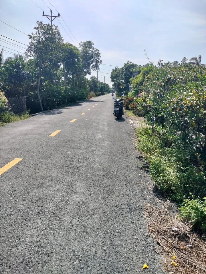 Bán Gấp 2 Lô Đất Vàng Đường Thanh Mỹ - Phú Điền, Đồng Tháp - 1.2 Tỷ/Lô