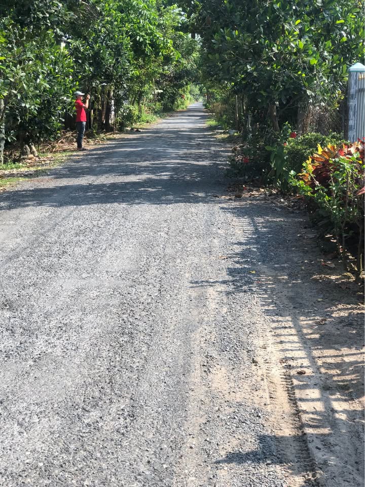 Bán Đất Nền 280m² Đồng Tháp - Gần QL30, Giá 1 Tỷ