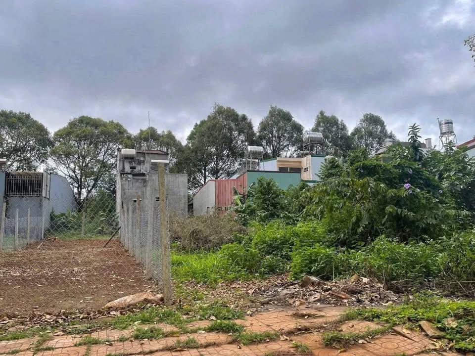 Đất Mặt Tiền Phạm Văn Đồng, BMT - 115m² Sổ Hồng Riêng, Kinh Doanh Tốt