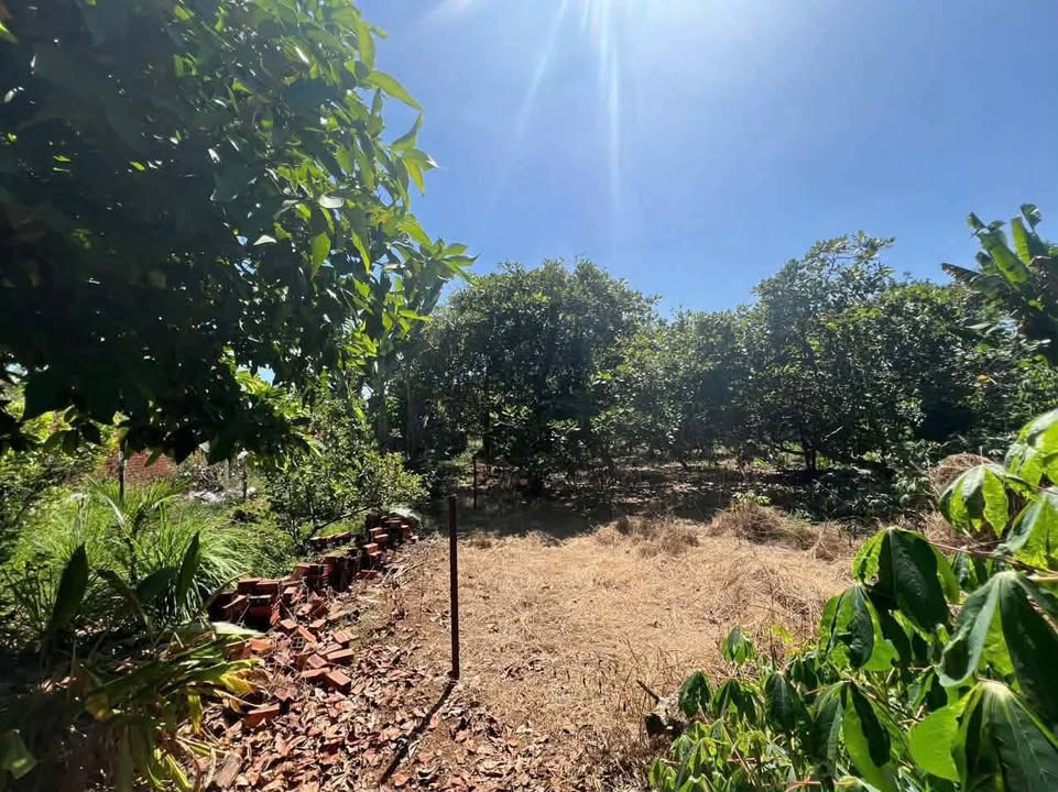 Bán Gấp Đất Mặt Tiền QL14, Đồng Phú, Bình Phước - 15600m² Full Thổ Cư