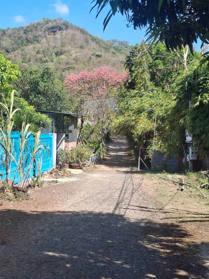 Đất nền 100m² Phường Thành Nhất, Buôn Ma Thuột - Sổ đỏ sẵn sàng giao dịch