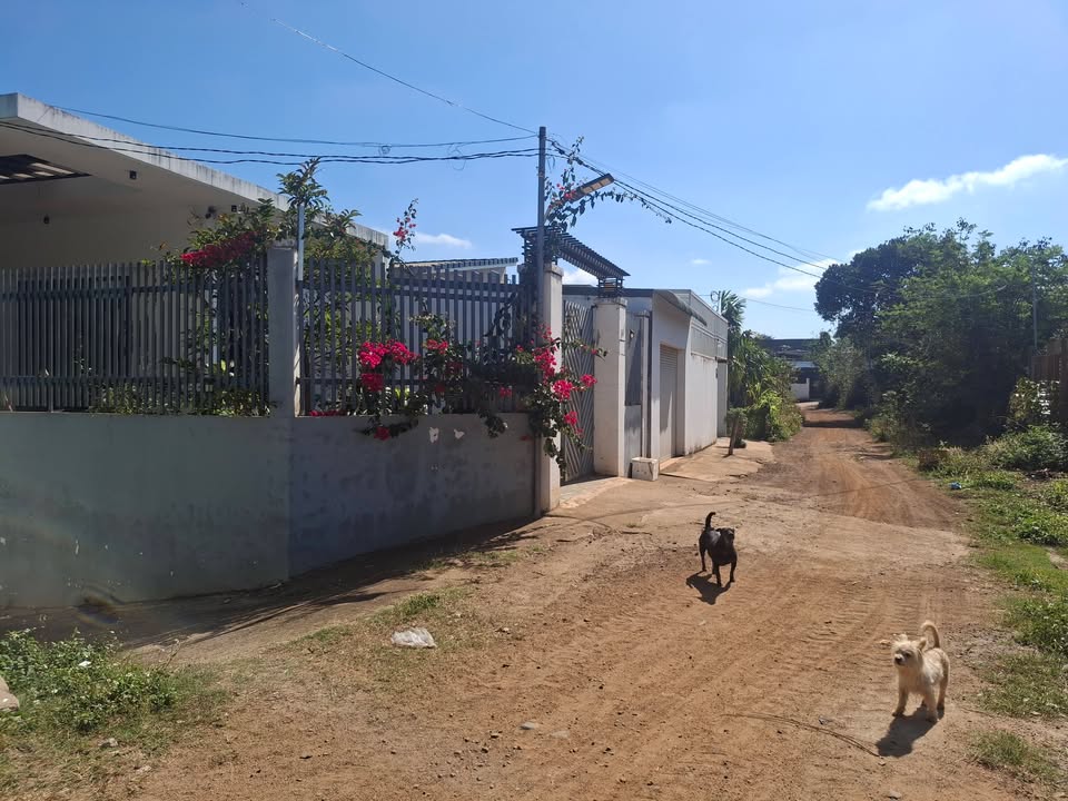 Đất thổ cư 110m² hướng Nam, Phường Thành Nhất, Buôn Ma Thuột - Giá 1.4 tỷ