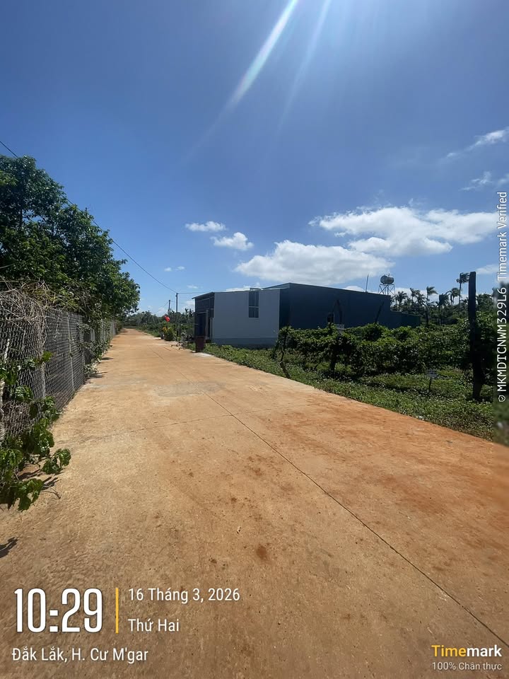 Đất nền Cuor Đăng, Đắk Lắk 180m² - Giá đầu tư 590 triệu, tiềm năng sinh lời