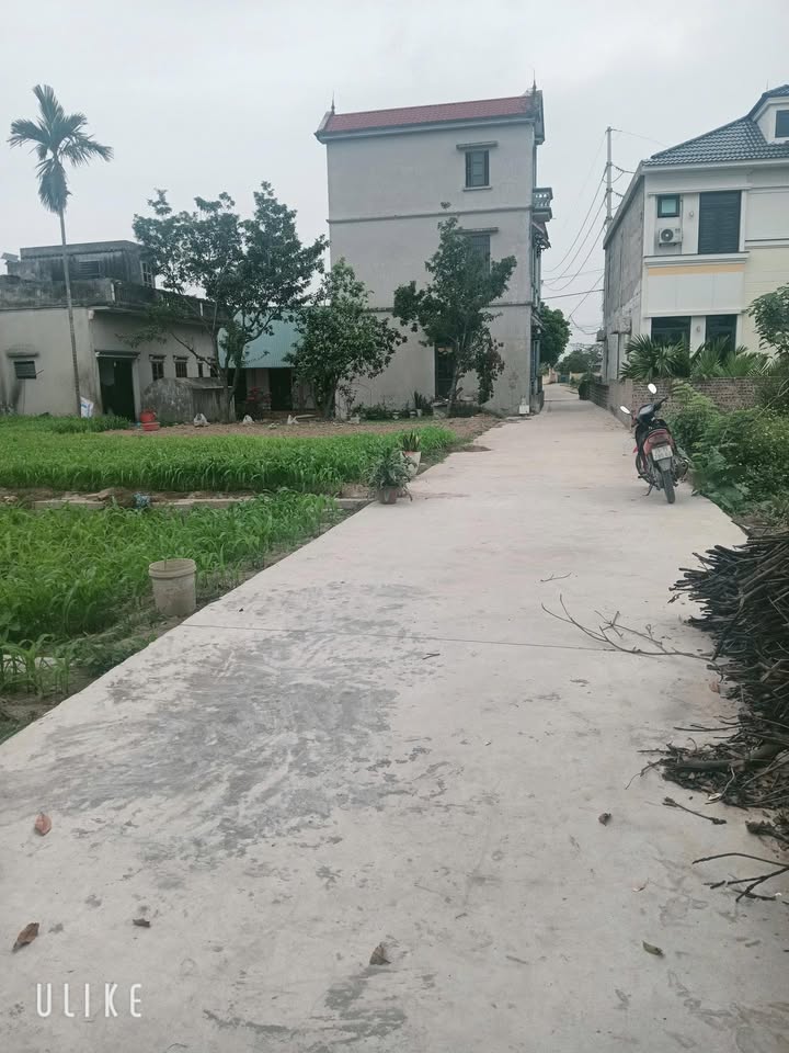 Đất Thường Tín 87m² - Sổ đỏ sẵn, ô tô đỗ cửa, cách trục chính vài bước