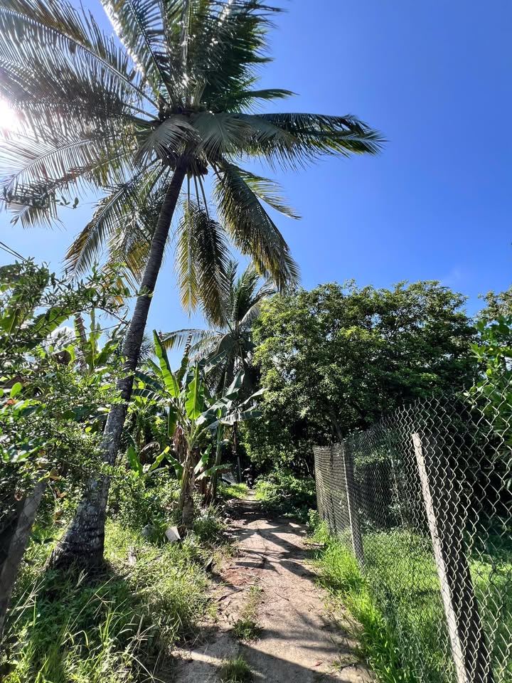 Bán đất nền 180m² Kim Sơn, Tiền Giang - Sổ đỏ thổ cư, giá đầu tư