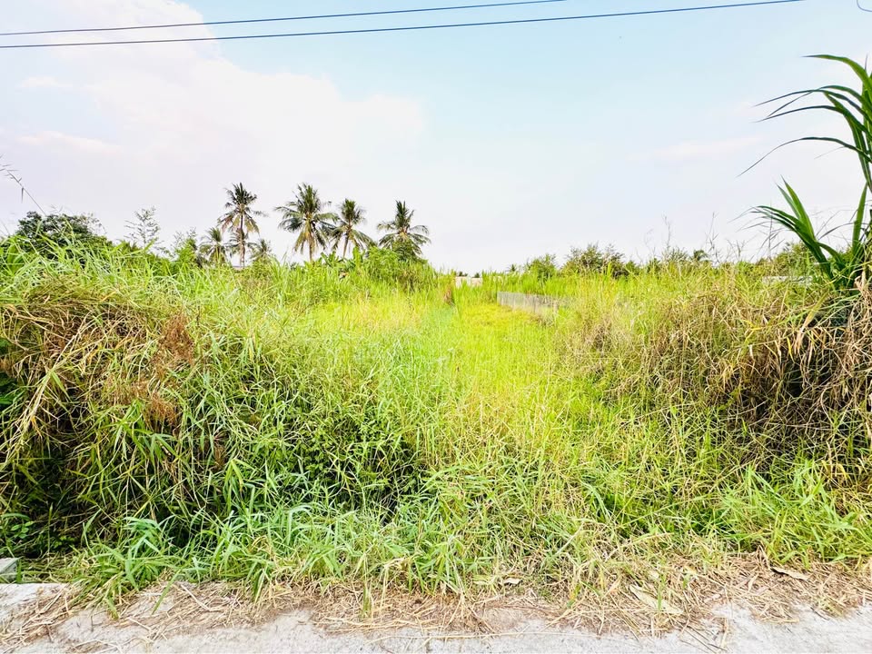 Đất Vườn Mỹ Phong, Mỹ Tho 258m² - Giá 500 Triệu, Sẵn Sàng Xây Nhà