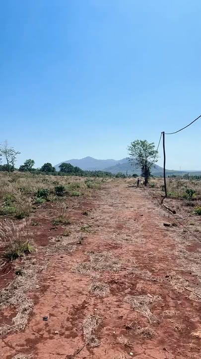 Đất vườn Ia Pia, Chư Prông 1.2ha - Sinh thái xanh, tiềm năng lớn!