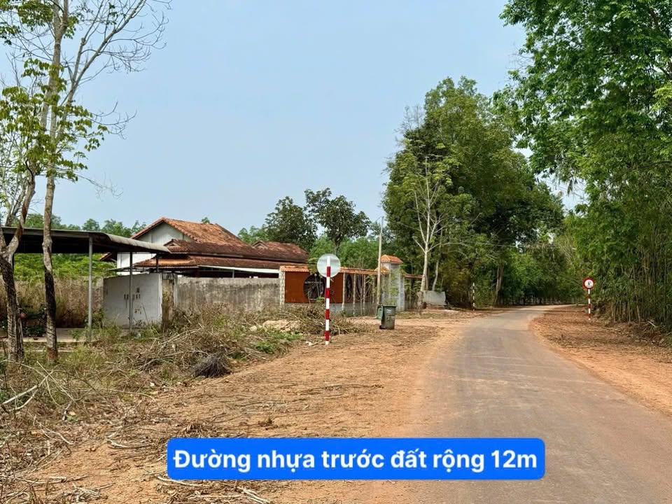 Đất Dầu Tiếng 299m² Sổ Hồng Riêng - Giá 699 Triệu