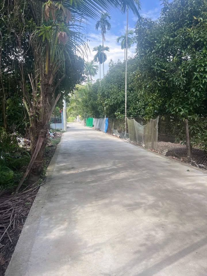 Bán Đất 113m² Phan Bội Châu, Q6 - Giá 2.1 Tỷ, Sổ Hồng Sẵn Sàng