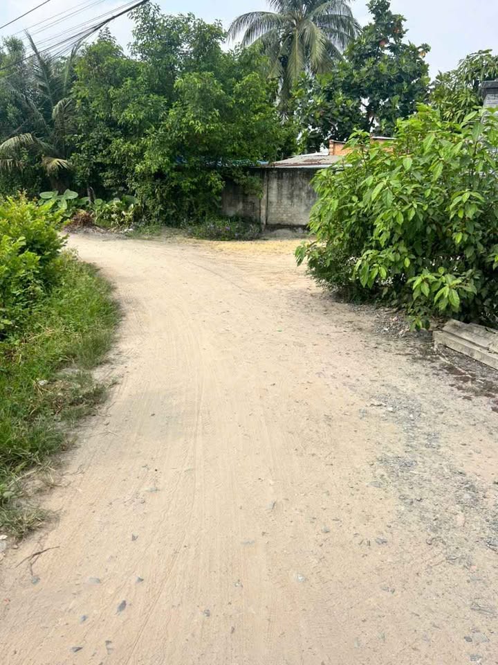 Đất Vàng 95m² Trung Tâm Gia Lộc, Tây Ninh - Giá 570 Triệu, Sẵn Sổ