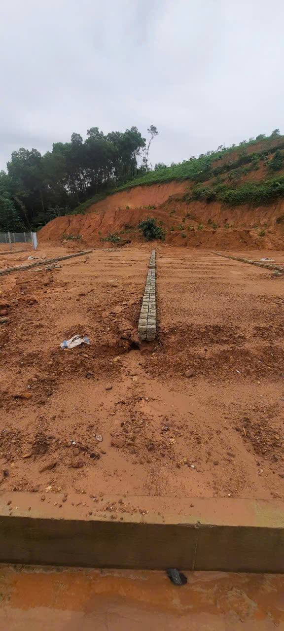 Bán Đất Yên Bình 100m² - Nở Hậu, Mặt Đường Nhựa - 9xx Triệu