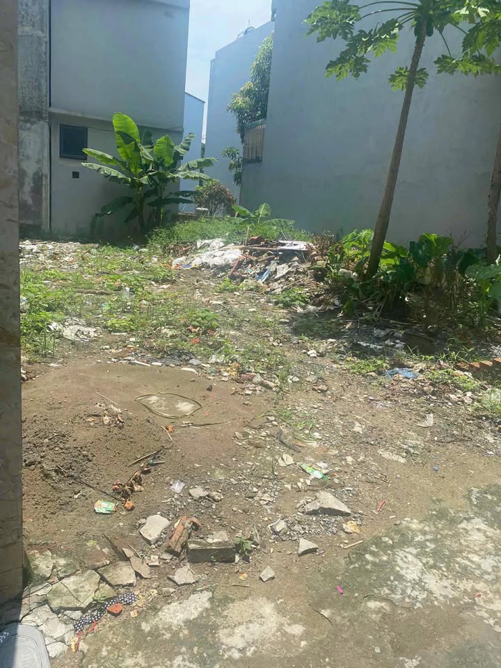 Bán đất Phúc Lợi, Long Biên 61.5m² - Sổ đỏ chính chủ, gần trường Lê Quý Đôn