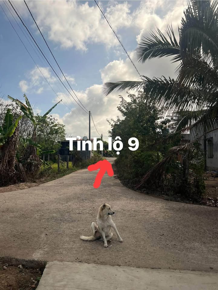 Đất nền Tỉnh lộ 9 Krông Bông 724m² - Tiềm năng tăng giá vượt trội!