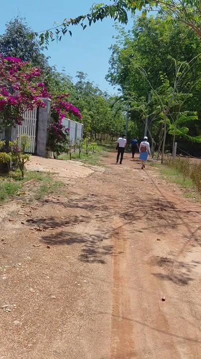 Đất Nền Bàu Bàng 200m² - Sổ Hồng Riêng, Vay Ngân Hàng 200 Triệu Sở Hữu Ngay