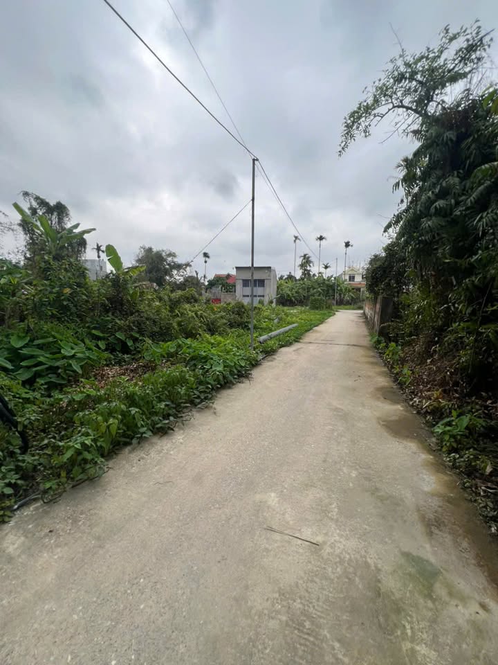 Đất Nền Thủy Nguyên 60m² - Giá F0 Chỉ 1.1 Tỷ, Vượng Khí Sinh Lời