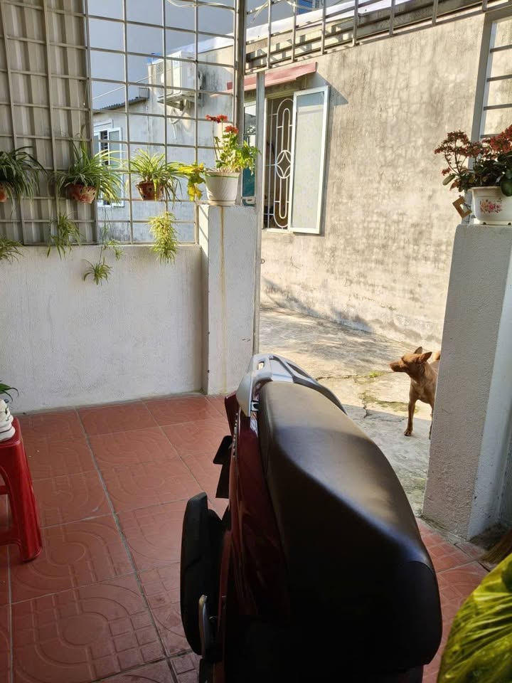 Bán đất tặng nhà 1 tầng Tràng Cát, Hải An - 61m², ô tô đỗ cửa, 1.65 tỷ