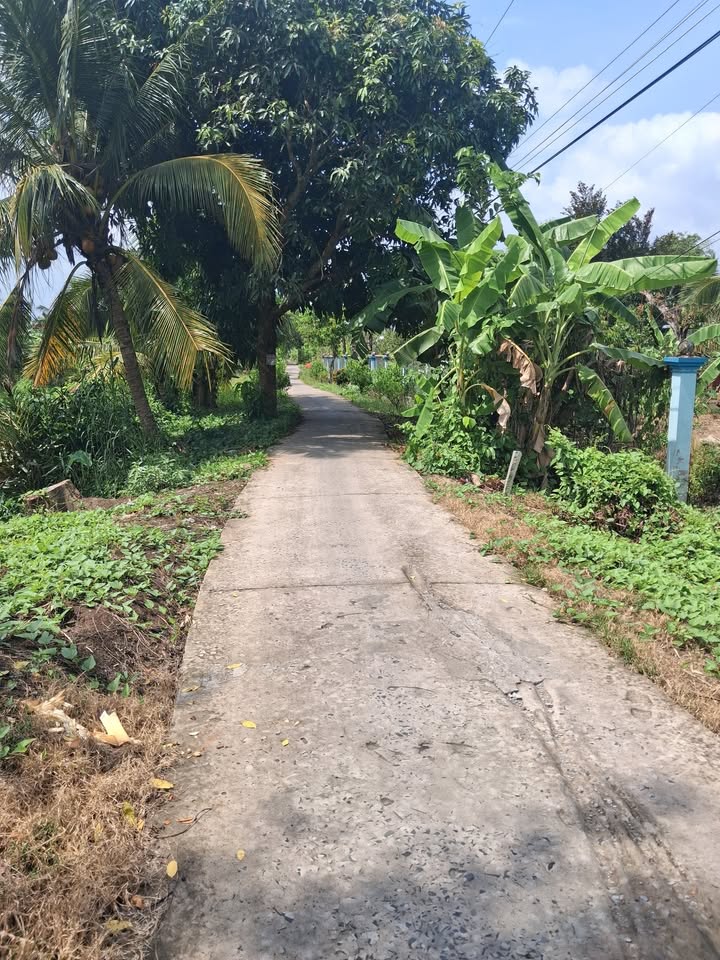 Đất Nền Long A Hậu Giang 100m² - Sổ Đỏ Thổ Cư, Gần Chợ Trường