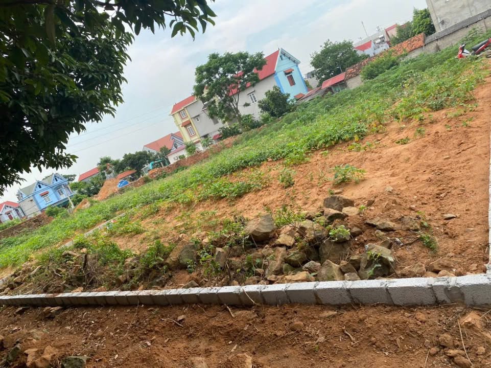Đất nền Quỳnh Sơn Bắc Giang 91m² chính chủ bán